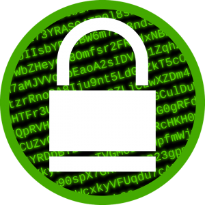 encrypted data with SSL